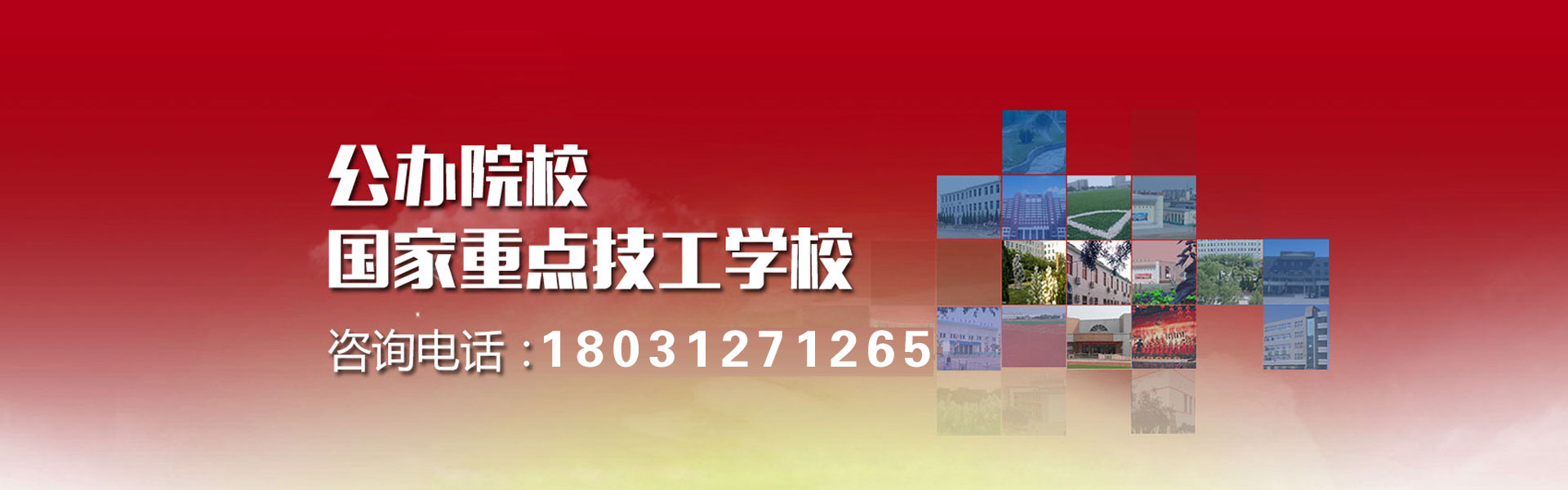  招生电话：0312-5975933